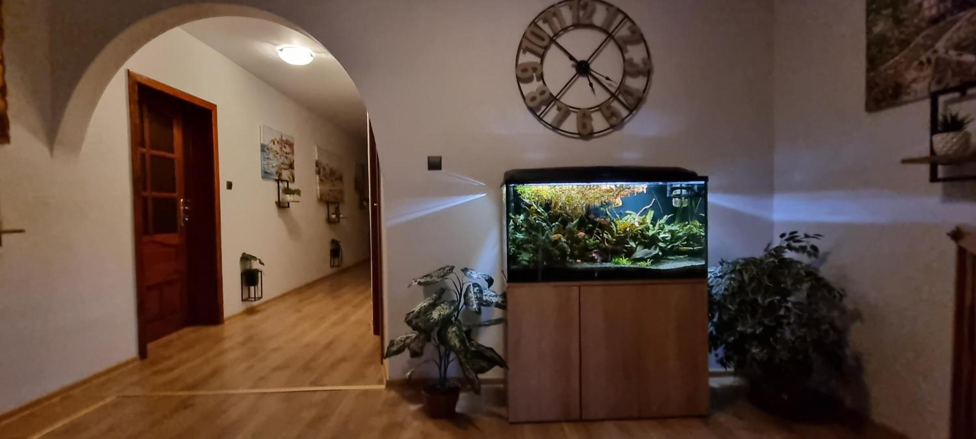 Na Lacznej Homestay